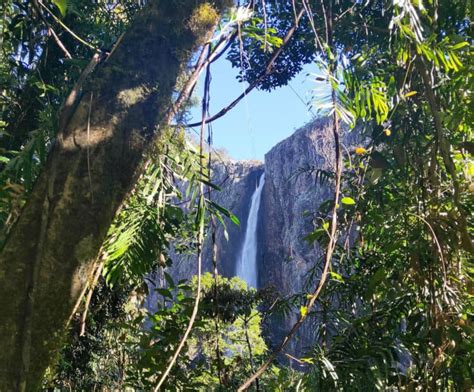 12 of the Best National Parks in Queensland in 2022 | The Vanabond Tales