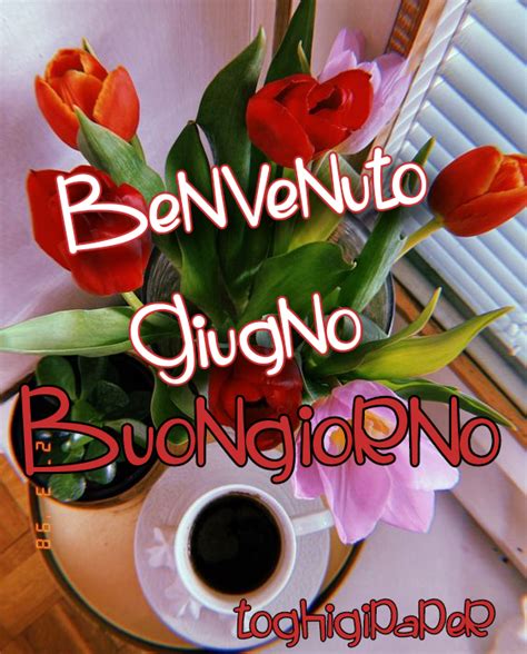 Benvenuto Giugno Toghigipaper