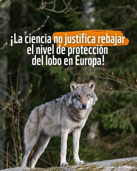 Especies Y Habitats Nuestro Trabajo Wwf Espa A