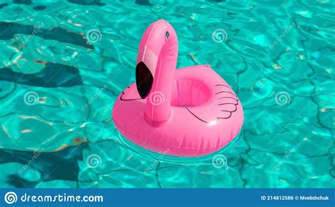 Hola Verano Flamenco Inflable Rosa En Agua De Piscina Para Fondo De