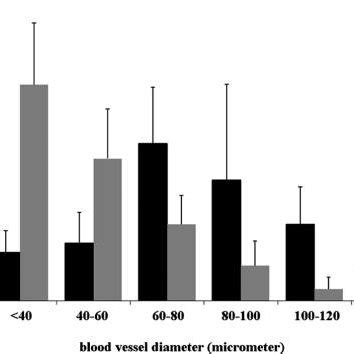 A histogram of the blood vessel lumen size distribution is shown for ...