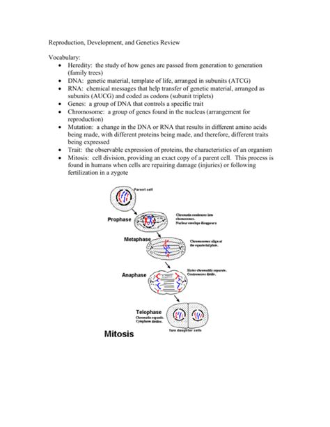 Reproduction, Development, and Genetics Review