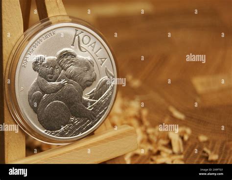 1 Dollar Koala 2023 Australian Pure Silver Coin In Capsule Stock Photo