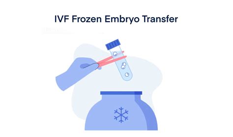 Ivf Frozen Embryo Transfer Timeline Process Pregnancy Test