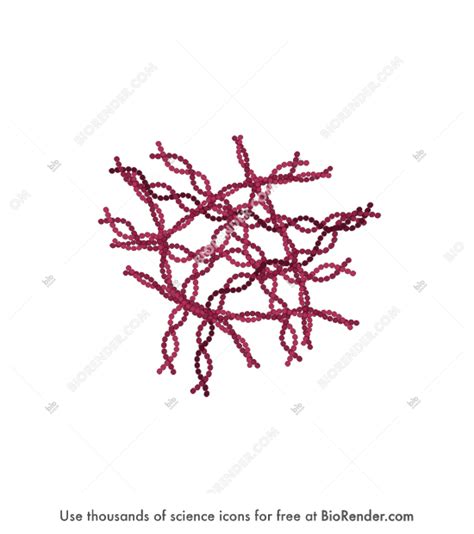 Free Tau protein (neurofibrillary tangle) Icons, Symbols & Images ...