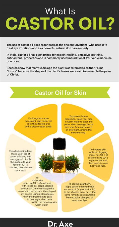 Amazing Health Benefits From Castor Oil Long Life And Health