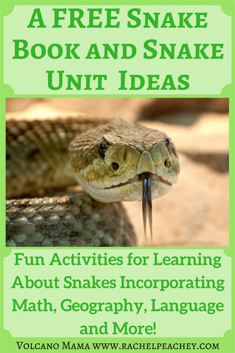 A FREE Snake Book for Kids and Snake Unit Ideas – Rachel Peachey