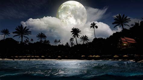 Download Magical Beach Night View Wallpaper