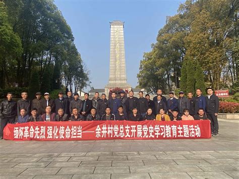 【网络中国节·清明节】余井村党总支赴烈士陵园开展党史学习教育主题党日活动潜山文明网