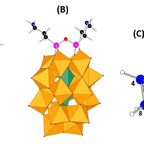 Molecular Structures Dft Optimized Geometry Of A Siw10 Aptes And Download Scientific