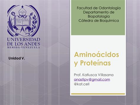 SOLUTION Amino Cidos Y Prote Nas Diapositivas Studypool