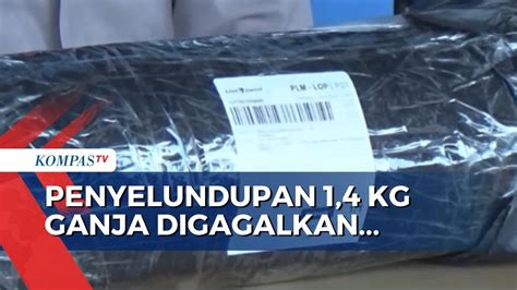 Petugas Bandara Berhasil Gagalkan Penyelundupan Ganja Seberat