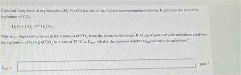 Solved Carbonic Anhydrase Of Erythrocytes Mr30 000 Has One Chegg