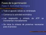 Ppt Germinacion Powerpoint Presentation Id