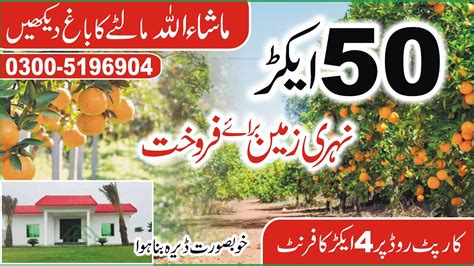 Land For Sale Acre Cheap Agriculture Land For Sale Zarai Zameen