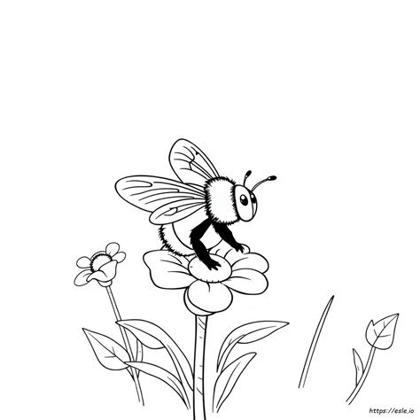 Bumblebee Colouring In