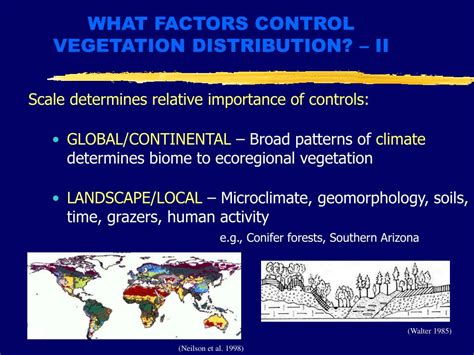 Ppt Future Vegetation Change Powerpoint Presentation Free Download