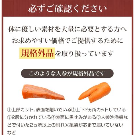 にんじん 人参 無農薬にんじん 野菜セット 人参5kg＋りんご3kg＋レモン1kg 訳あり ジュース用 人参ジュース ゲルソン療法 野菜 国産