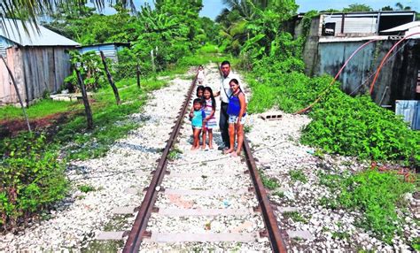 Reúnen en un libro los riesgos del Tren Maya en la Península