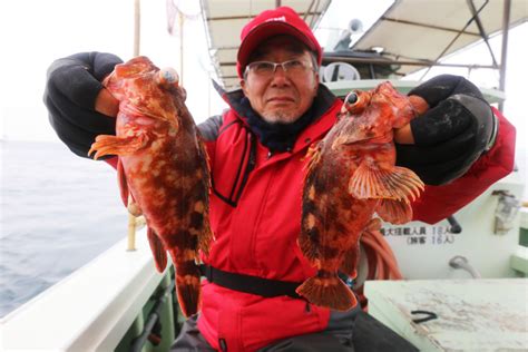 船釣りビギナーにおすすめ！美味しい魚が色々釣れる「五目釣り」（和歌山・加太 金比羅丸） ニュース つりそく（釣場速報）