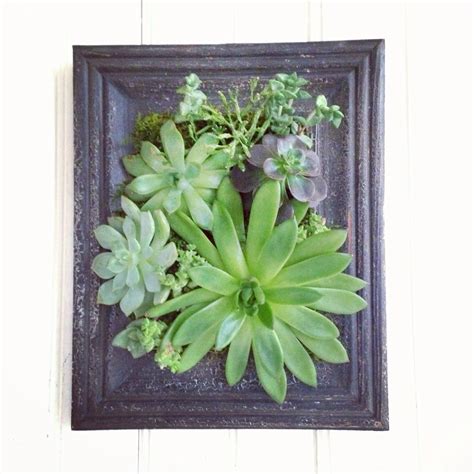 Vertical Succulent Planter Garden