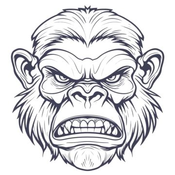 Head King Kong Angry Outline Design, Angry, Design, Head PNG ...