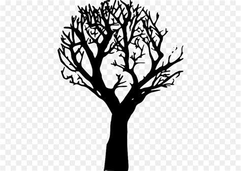 Arboles Sin Hojas Dibujo Clip Art Library