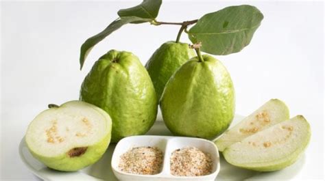 15 Incredible Benefits of Guava Leaf Tea - Statyourself