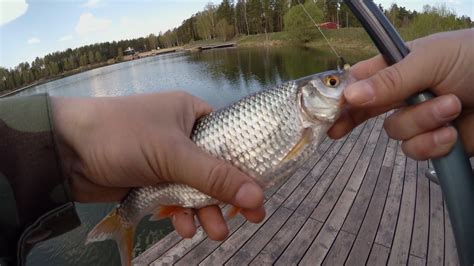 Ловля на боковой кивок (летняя мормышка) Городское озеро - YouTube