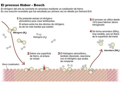 El proceso Haber Bosch Edición impresa EL PAÍS