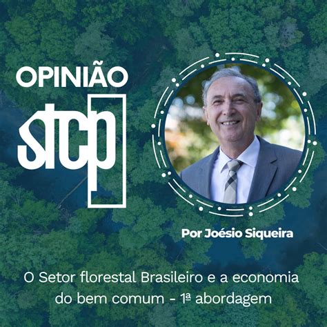 OPINIÃO STCP O SETOR FLORESTAL BRASILEIRO E A ECONOMIA DO BEM COMUM