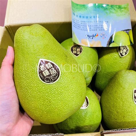 Taiwan Douliu Wendan Pomelo T Box 3kg — Momobud