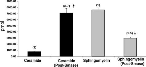 Smase Treatment Increases Ceramide Levels While Decreasing