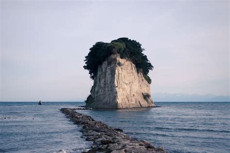 Free Images Beach Sea Coast Tree Sand Rock Ocean Horizon