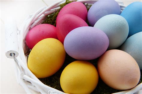 Easter Eggs Multicoloured Natural Free Photo On Pixabay Pixabay