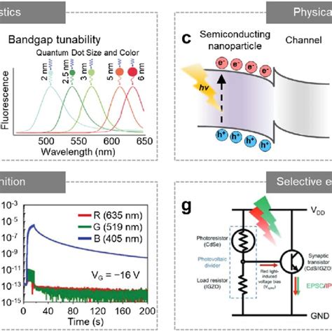 Image Filtering And Pattern Classification By Synaptic Optoelectronic