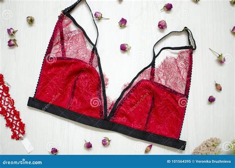 De Rode Lingerie Van Kantvrouwen Sexy Kantondergoed Op Het Houten Wit Stock Afbeelding Image