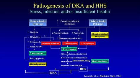 Diabetic Ketoacidosis And Hypersmolar Non Ketotic Coma The Clinical