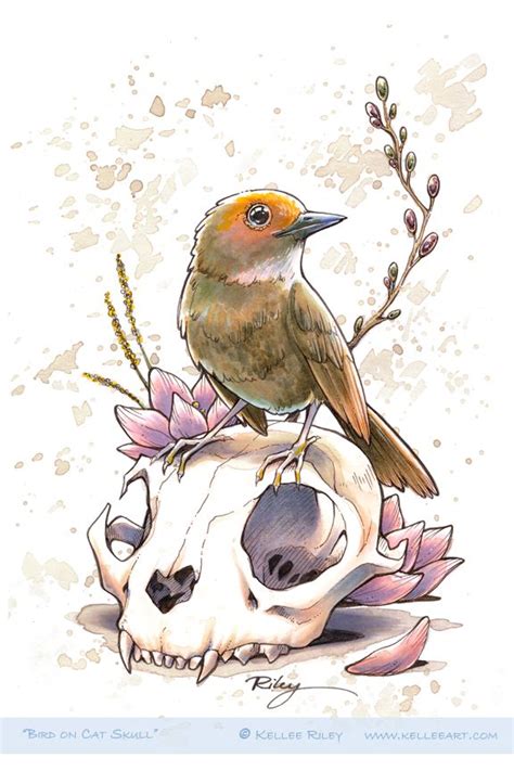 Bird On Cat Skull By Kelleeart On Deviantart Animal Skull Drawing