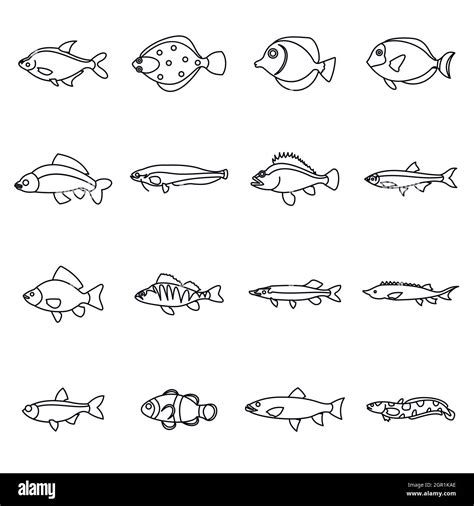 Cute Fish Icons Set Outline Style Stock Vector Image Art Alamy