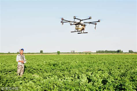 Farmers Getting Drone Assistance For Crop Dusting Chinadaily Cn