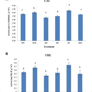 Soil Enzyme Activities In The Different Treatments A Effects Of