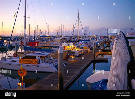 Hervey Bay Tourism Queensland Australia Stock Photo Alamy