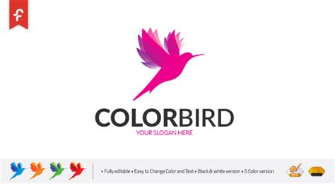 Color - Bird Logo - Logos & Graphics