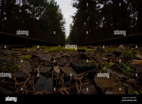 Old Unused Railway Tracks Gravel Bed Overgrown With Moss Stock Photo