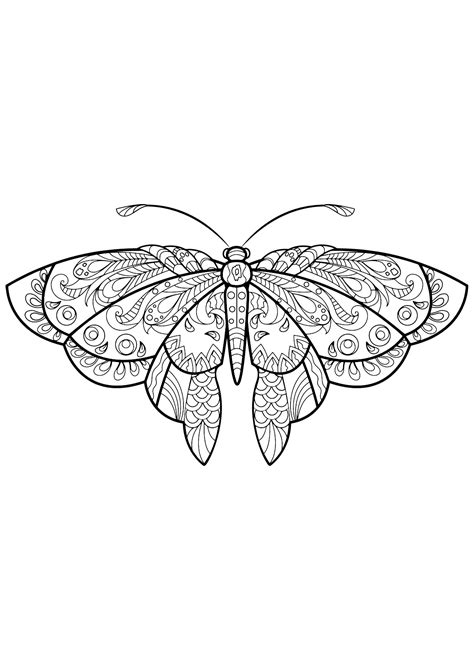 Papillon Jolis Motifs 1 Coloriages Papillons And Insectes Difficiles Pour Adultes Et Enfants