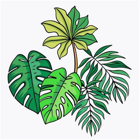 Plantas Ex Ticas Hojas De Palma Monstera En Un Fondo Blanco Aislado