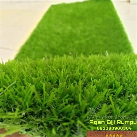 Jual Karpet Rumput Sintetis Swiss 100cm X 50cm Rumput Dekorasi