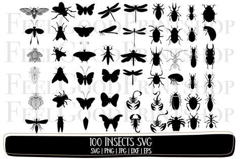 100 Insects Svg Bundle Bugs Svg Graphic By Feelgoodprintshop · Creative