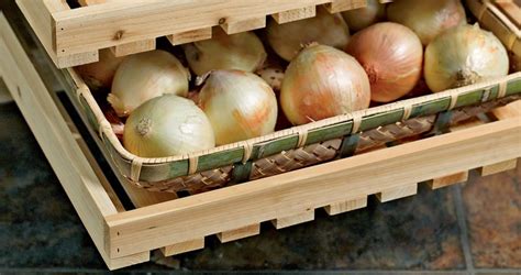 How To Properly Harvest And Store Onions To Keep Them Fresh The Arches